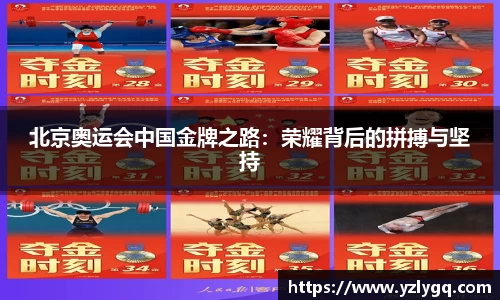 北京奥运会中国金牌之路：荣耀背后的拼搏与坚持