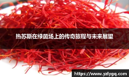 热苏斯在绿茵场上的传奇旅程与未来展望